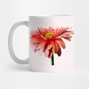 Pink Gerbera Daisy Side View Mug